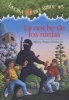 La Noche de Los Ninjas (English, Spanish, Paperback) - Mary Pope Osborne Photo