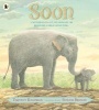 Soon (Paperback) - Timothy Knapman Photo