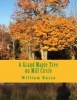 A Grand Maple Tree on Mill Circle (Paperback) - William Russo Photo