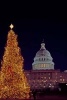 Christmas Tree on the Washington DC Mall Journal - 150 Page Lined Notebook/Diary (Paperback) - Cs Creations Photo