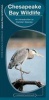 Chesapeake Bay Wildlife (Pamphlet, 2nd Revised edition) - James Kavanagh Photo