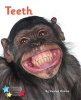 Teeth (Paperback) - Stephen Rickard Photo