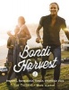 Bondi Harvest (Paperback) - Guy Turland Photo