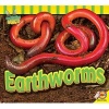 Earthworms (Paperback) - Samantha Nugent Photo