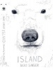 Island (Paperback) - Nicky Singer Photo