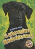 Labrador Retrievers (Hardcover) - Chris Bowman Photo