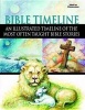 Bible Timeline - An Illustrated Timeline of the Most Often Taught Bible Stories (Hardcover) - Marcia Stoner Photo