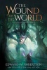 The Wound of the World (Paperback) - Edward W Robertson Photo