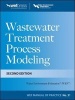 Wastewater Treatment Process Modeling MOP31 (Hardcover, 2nd Revised edition) - Water Environment Federation Photo