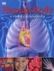 Human Body: A Visual Encyclopedia (Hardcover) - Dk Publishing Photo