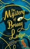 The Mystery of Briony Lodge (Hardcover) - David Bagchi Photo