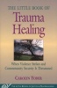 Little Book of Trauma Healing - When Violence Striked and Community Security is Threatened (Paperback) - Carolyn Yodder Photo