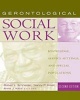 Gerontological Social Work - Knowledge, Service Settings, and Special Populations (Paperback, 2nd Revised edition) - Robert L Schneider Photo