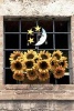 Happy Yellow Sunflowers, the Moon and Stars Decorate a Window in Italy Journal - 150 Page Lined Notebook/Diary (Paperback) - Cs Creations Photo