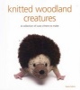 Knitted woodland creatures - A Collection of Cute Critters to Make (Paperback) - Susie Johns Photo