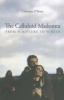 The Celluloid Madonna - From Scripture to Screen (Paperback) - Catherine OBrien Photo