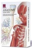 Anatomy Flash Cards (Cards) - Scientific Publishing Company Photo