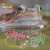 Tadpole to Frog (Paperback) - Camilla De la B edoy ere Photo