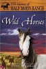 Wild Horses (Paperback) - Jenny Oldfield Photo