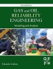 Gas and Oil Reliability Engineering - Modeling and Analysis (Hardcover, 2nd Revised edition) - Eduardo Calixto Photo