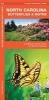 North Carolina Butterflies & Moths - A Folding Pocket Guide to Familiar Species (Pamphlet, First) - James Kavanagh Photo