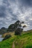 A Path Along the Coast in New Zealand - Blank 150 Page Lined Journal for Your Thoughts, Ideas, and Inspiration (Paperback) - Unique Journal Photo