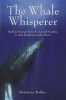 The Whale Whisperer - Healing Messages from the Animal Kingdom to Help Mankind and the Planet (Paperback) - Madeleine Walker Photo