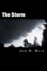 The Storm (Paperback) - John M Wills Photo