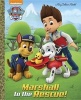 Marshall to the Rescue! (Paw Patrol) (Hardcover) - Golden Books Photo