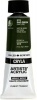 Daler Rowney Cryla Acrylic Tube - Sap Green Photo