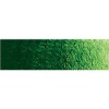 Old Holland New Masters Classic Acrylics - Sap Green Extra Tube Photo