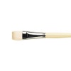 Pro Arte Brush - Series B Hogshort Flat Photo