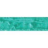 Caran Dache Artist Neopastel - Turquoise Green Photo