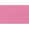 R F R & F Pigment Stick - Dianthus Pink 3 Photo