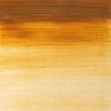 Winsor Newton Winsor & Newton Winton Oil - Raw Sienna Photo