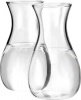 VAGNBYS Personal Carafe Borosilicate Glass Decanter Photo