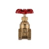 Torrenti Brass Gate Valve Photo