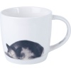 Maxwell Williams Maxwell and Williams Feline Friends Mug Photo