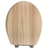 Lifespace Leading Design Premium Wood Toilet Seat Photo