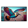 Fancy Artwork Canvas Wall Art :Flying Colourful Bird on Wall Graffitti - Photo