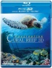 Fascination: Coral Reef 3D Photo