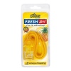 Shield Fresh 24 Air Freshener Bulk Pack of 5 Photo