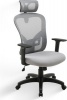 Linx Corporation Linx Ainsley High Back Mesh Chair Photo