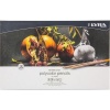 Lyra Rembrandt Polycolor Coloured Pencil Set Photo