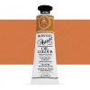 Daler Rowney Artists Oil Tube - Raw Sienna Photo