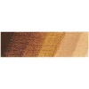 Schmincke Mussini Oil - Raw Umber Light Photo