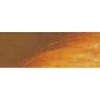 Rembrandt Talens Oil Colour Tube - Raw Sienna Photo