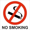 Parrot Products Parrot Sign - Symbolic Red No Smoking Sign on White ACP Photo