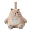 Tommee Tippee AKA0060 2-in-1 Bennie the Bear Night Light Photo