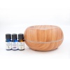 Crystal Aire Bean-Shaped Aroma Diffuser with 3 x 10ml Essenial Oils Photo